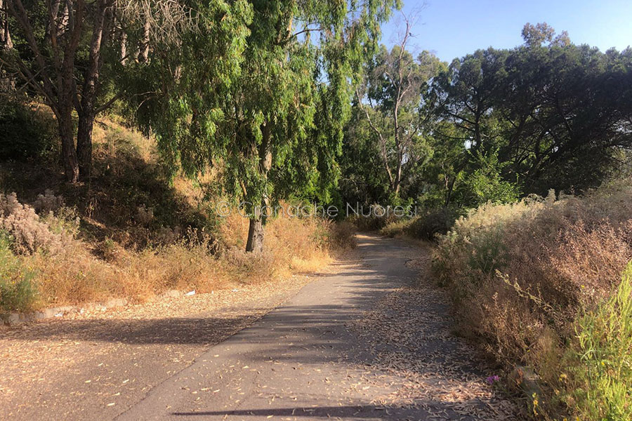 Nuoro. Strada Solitudine-Lollove: cittadini e Presidio Turistico Nuorese spingono per il completamento