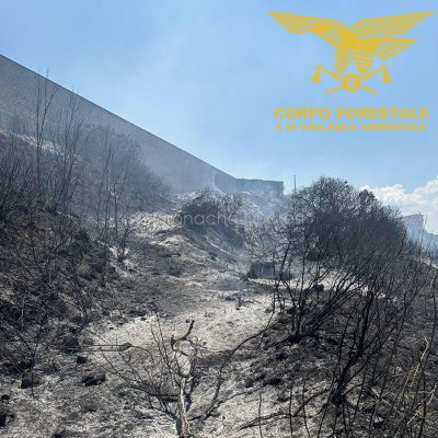 Vegetazione ridotta in cenere alle porte di Nuoro