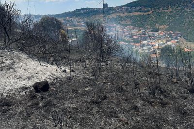Vegetazione ridotta in cenere alle porte di Nuoro