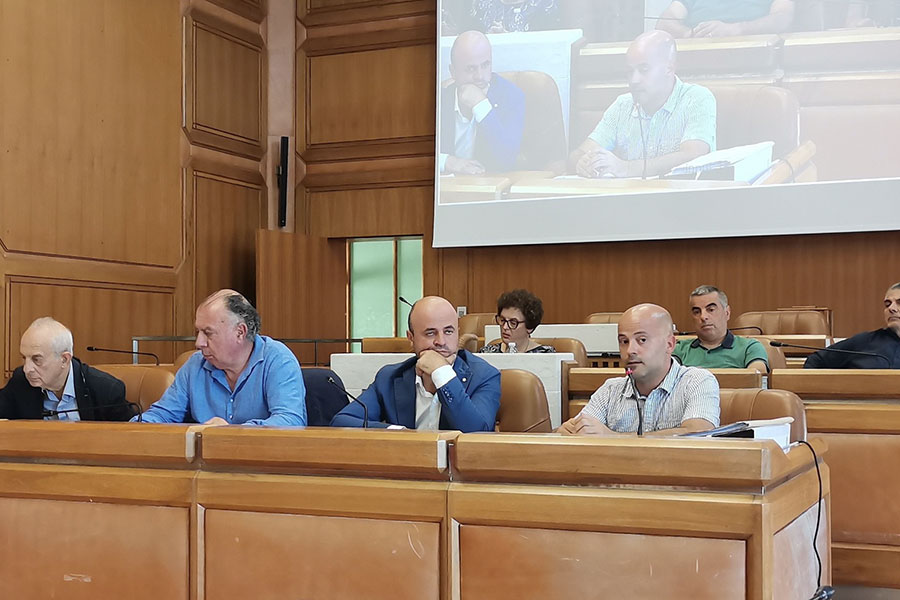 L’Approfondimento. Dermatite nodulare bovina nel Nuorese: emergenza zootecnica con 18 focolai e 170 capi già abbattuti