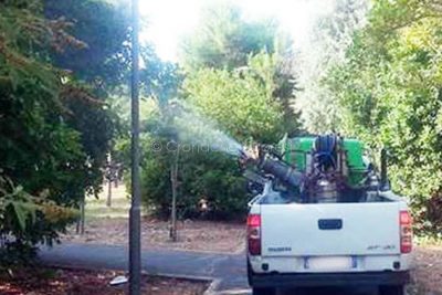 Disinfestazione a Nuoro (foto S.Novellu)