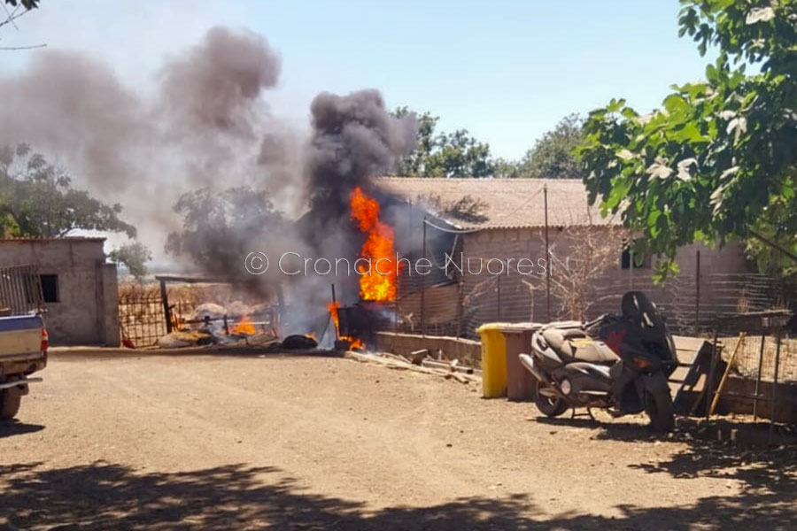 Incendio in una stalla: cavallo salvato in extremis