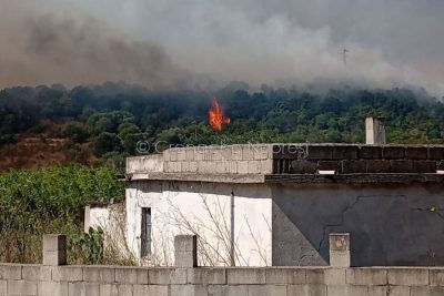 Orosei, vasto incendio a Sos Alinos