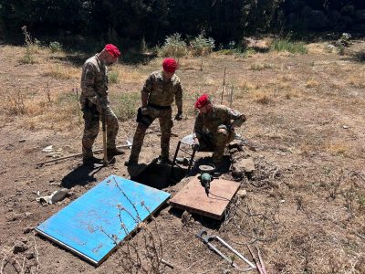 La piantagione sotterranea scoperta a Gavoi