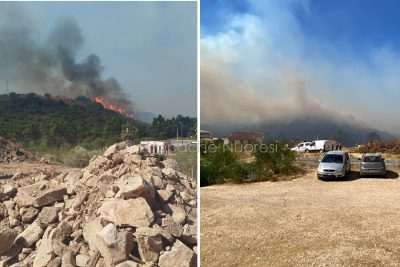 Orosei, vasto incendio a Sos Alinos