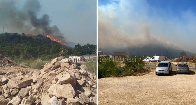 Orosei, vasto incendio a Sos Alinos