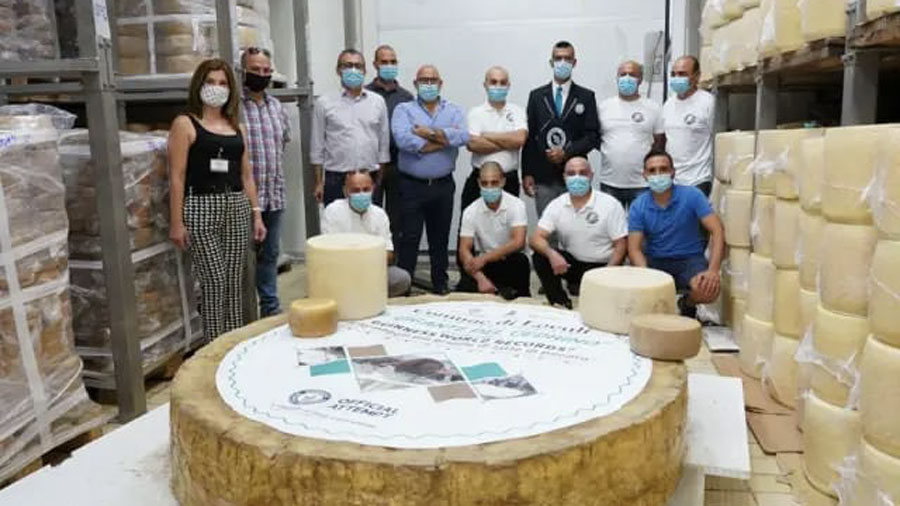Loculi si prepara  per la sfida del 26- 27 luglio: creare il pecorino più grande del mondo, quasi 600 kg di eccellenza
