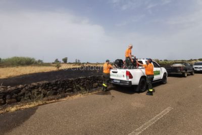 Barracelli in azione a Scano Montiferro (foto S.Novellu)