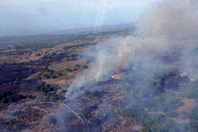 Incendio Silanus (foto Forestale)
