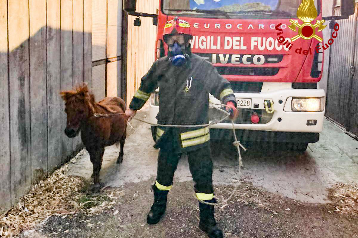 Domenica di fuoco tra Marghine e Planargia: rogo in un’azienda tessile, distrutte 5 auto