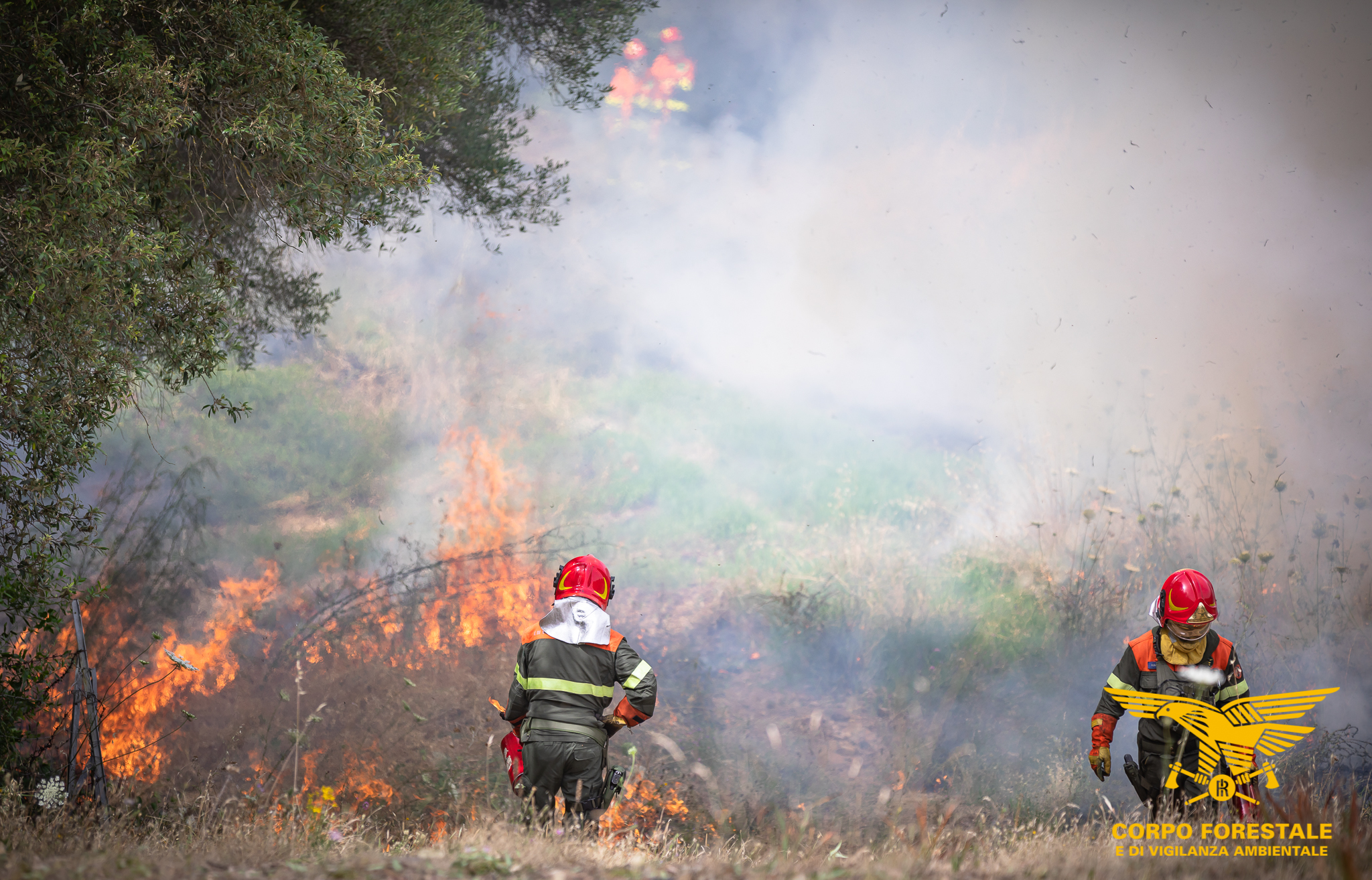 Incendio a Silanus: 45 ettari di pascolo distrutti
