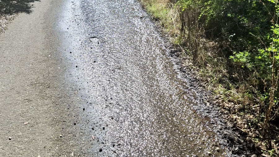 Nuoro. Ortobene: il comune mette le “pezze” allo sversamento fognario ma permane il problema delle perdite idriche