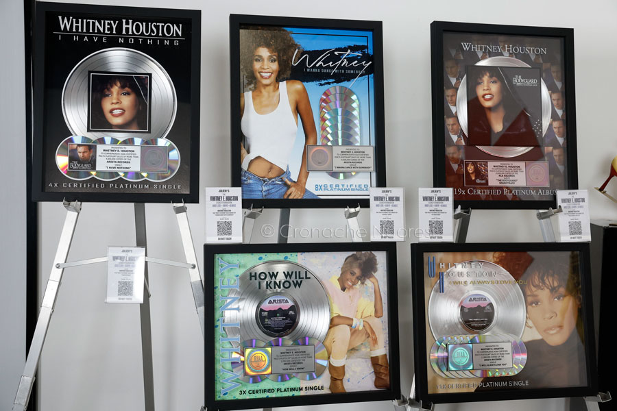 Il mito di Whitney Houston rivive nel gioco online