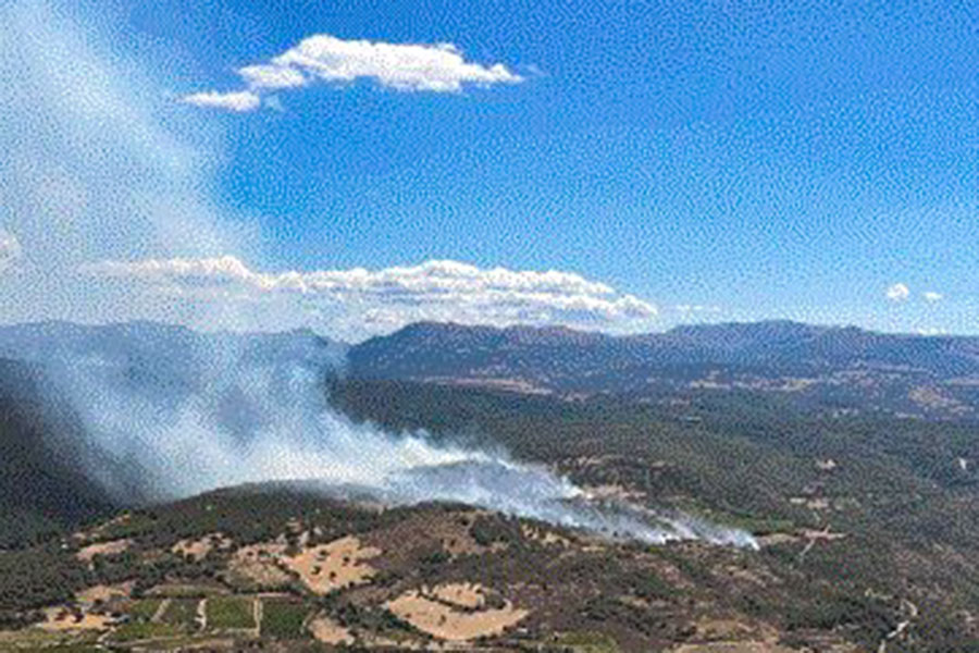 Vasto incendio boschivo a Mamoiada, elicotteri e canadair in azione