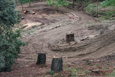 Alberi tagliati a Tanca Manna (foto S.Novellu)