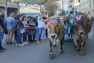 Autunno in Barbagia a Orgosolo