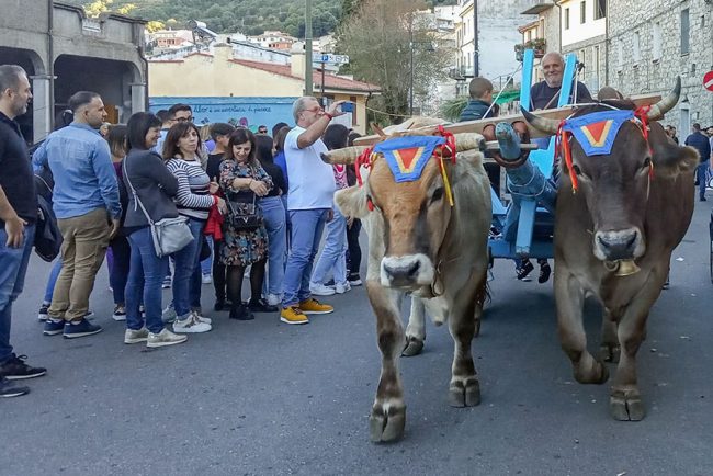 Autunno in Barbagia a Orgosolo