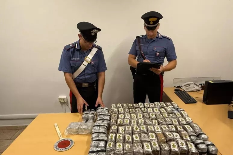 Maxi sequestro di 51 kg di hascisc, del valore di 220mila euro, interrati sotto una quercia