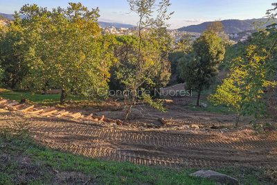 Nuoro, nuovi sentieri a Tanca Manna (foto S.Novellu)