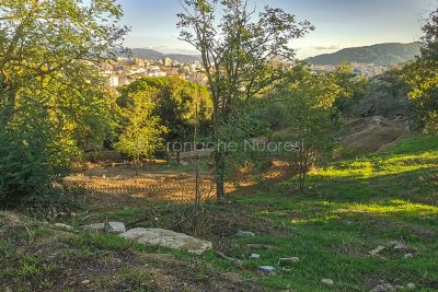 Nuoro, nuovi sentieri a Tanca Manna (foto S.Novellu)