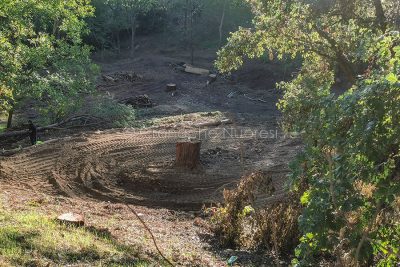 Nuoro, nuovi sentieri a Tanca Manna (foto S.Novellu)