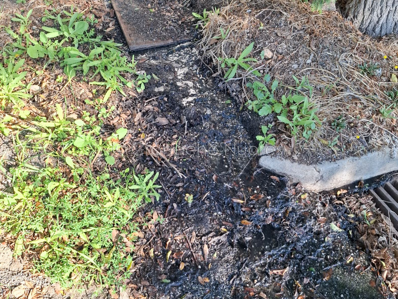 Nuova fuoriuscita di acque sporche all’Ortobene: “Ultima Spiaggia” chiede azioni immediate