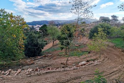 Terrazzamenti a Tanca Manna (foto S.Novellu)