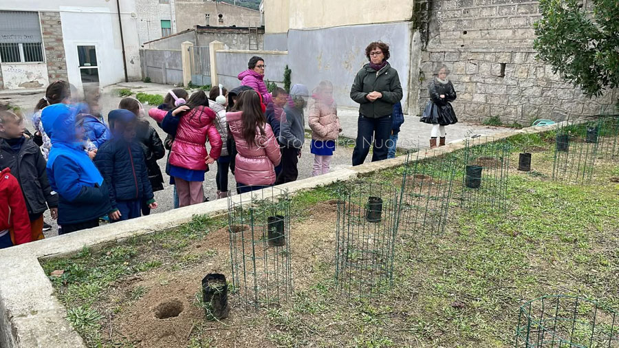 Festa dell’Albero a San Pietro: 133 nuove piante per i nati nell’ultimo anno e l’impegno dei giovani