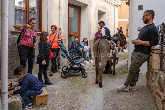 L'asinello Celentano tra i visitatori (foto S.Novellu)