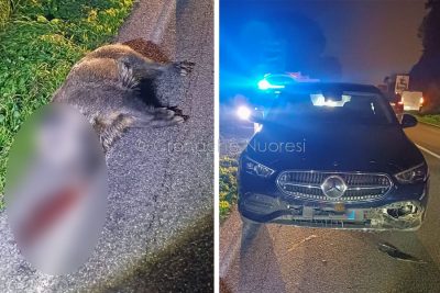 L'auto e il cinghiale dopo l'incidente