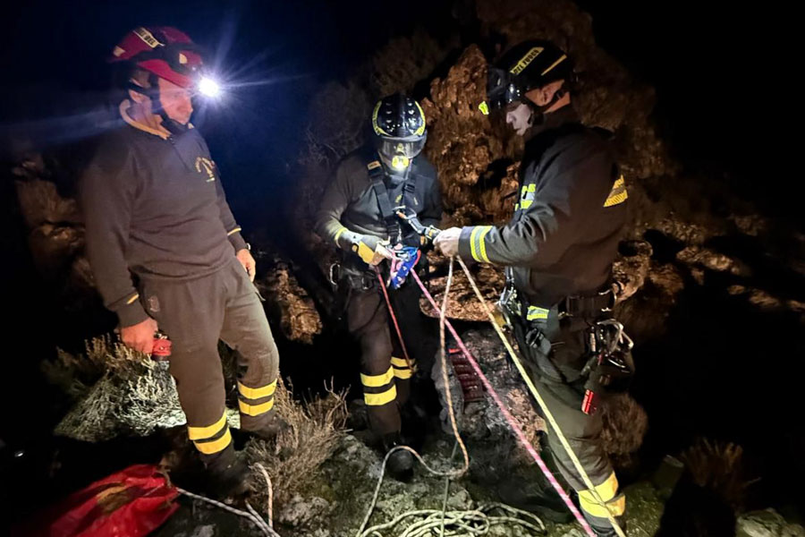 Cagnolina da caccia precipitata in una voragine carsica di 15 metri: salvata dai VVF