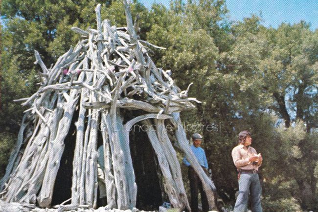 Murena nel Supramonte