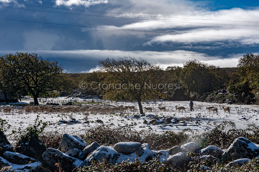 Arrivata la prima neve di stagione: sotto la neve la Sardegna Centrale – VIDEO