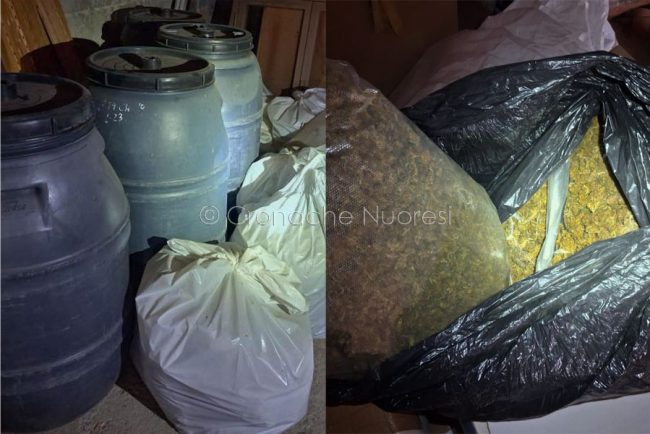 Una parte del materiale rinvenuto durante il blitz