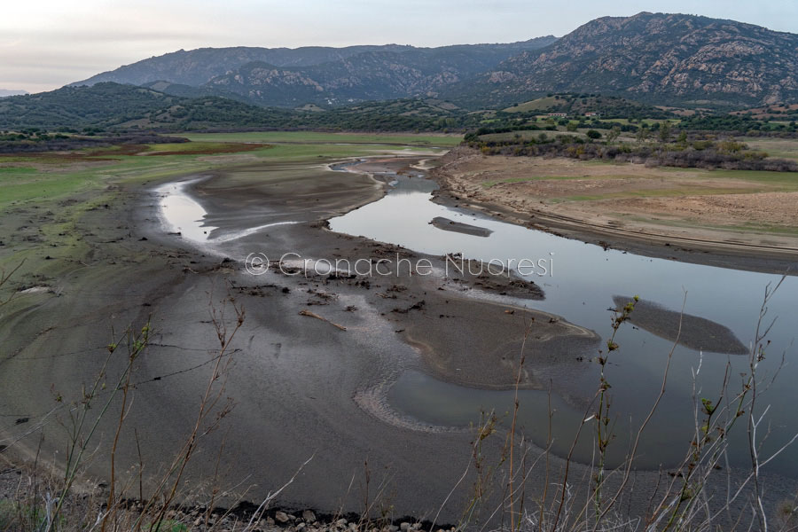 Maccheronis al collasso: stop all’uso agricolo. Deriu lancia l’allarme “acqua gialla”