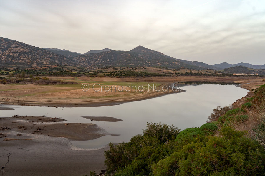 Parco di Tepilora: a Nuoro la ricerca “Dove l’acqua racconta la vita” sul Montalbo