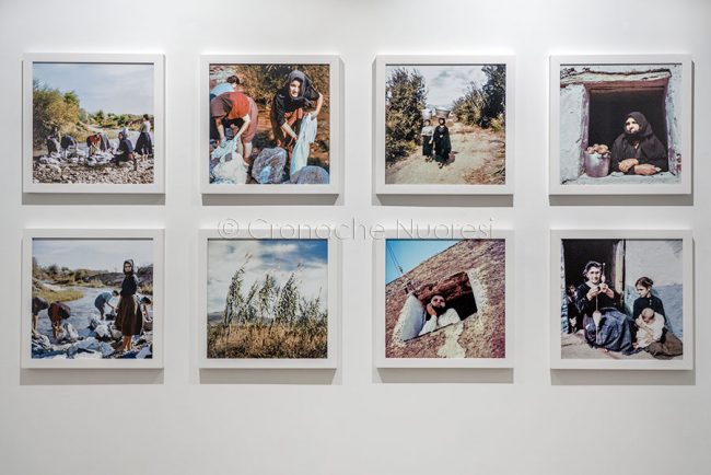 Alcuni degli scatti a colori di Pinna in mostra