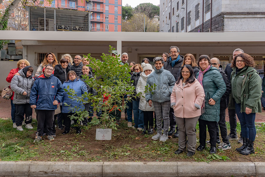 Un agrifoglio contro le barriere: Nuoro celebra la diversità piantando il simbolo dell’inclusione – VIDEO