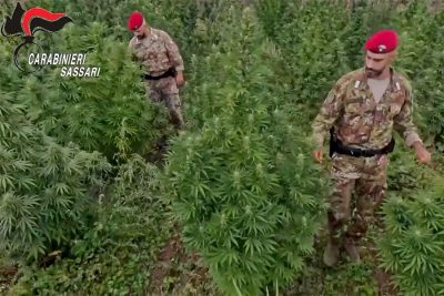 Il blitz antidroga dei Carabinieri