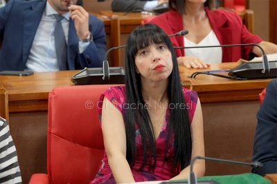 La consigliera Irene Melis (foto S.Novellu)