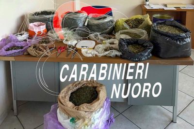 La marijuana sequestrata a Desulo