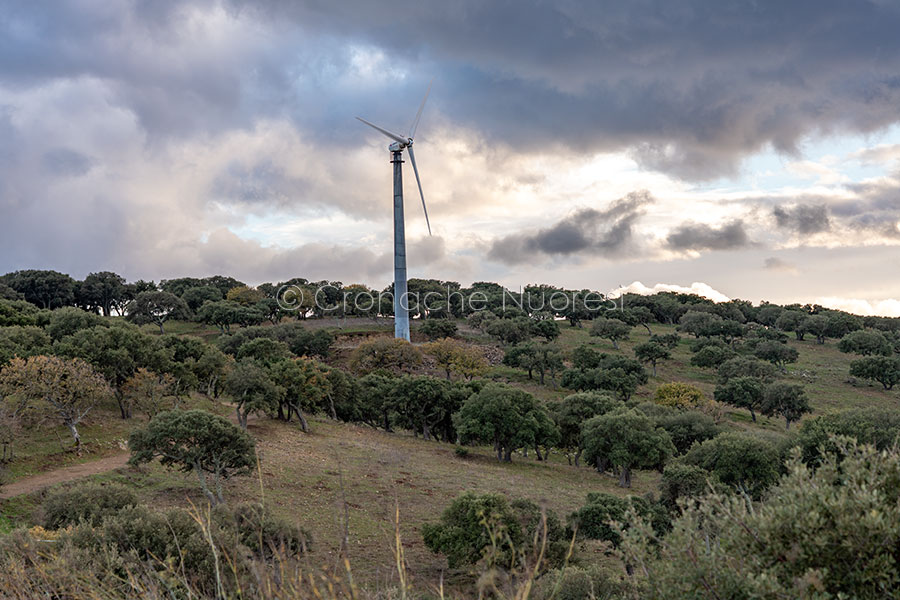 Svolta Green in Sardegna: Fotovoltaico solo su aree industriali e parcheggi