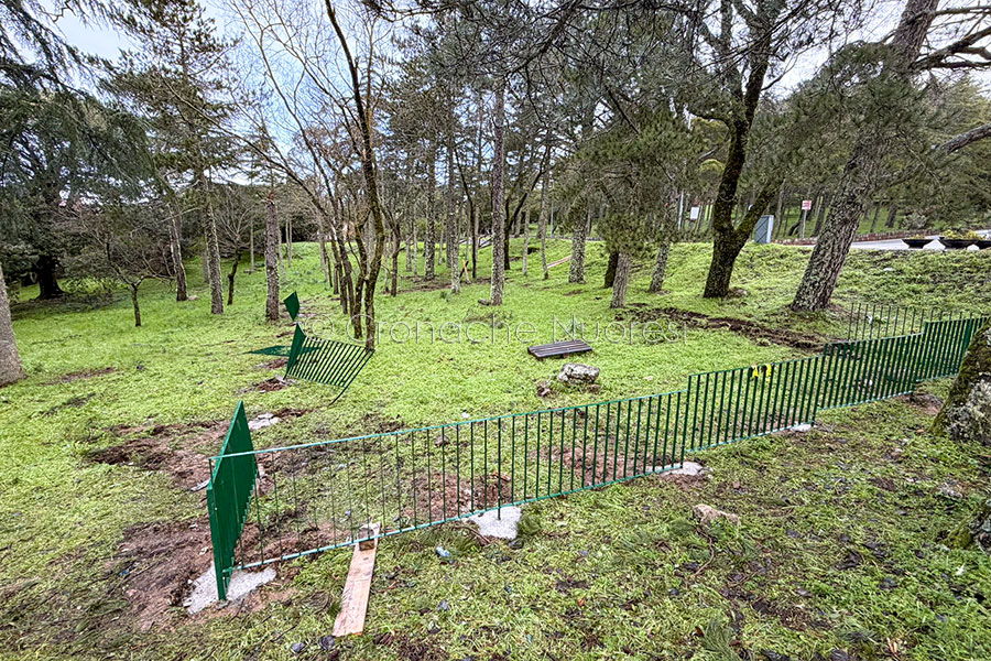 Raid vandalico sul Monte Ortobene: rubate le recinzioni della nuova area cani