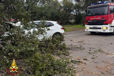 L'auto schiacciata dall'albero sradicato