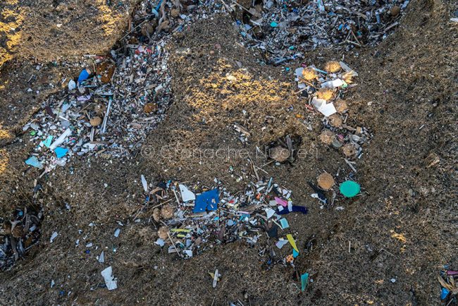 Microplastiche (foto S.Novellu)