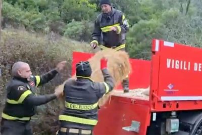 Soccorso ai pastori di Orgosolo