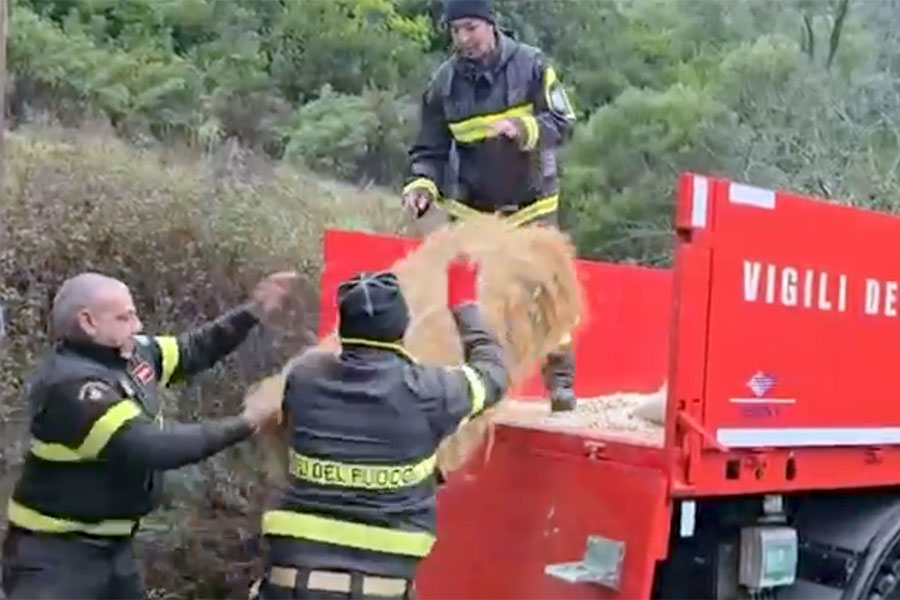 Emergenza maltempo a Orgosolo: i VVF in soccorso dei pastori in difficoltà – VIDEO