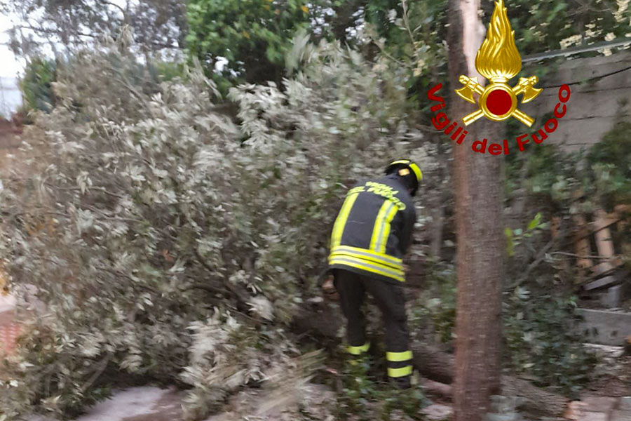 Maltempo nel Nuorese: VVF al lavoro dall’alba per alberi abbattuti e pali pericolanti