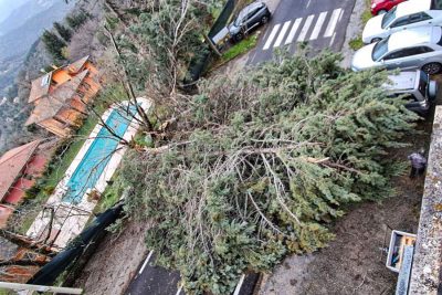 Albero spezzato dal vento alla periferia di Aritzo (foto F.Sulis)
