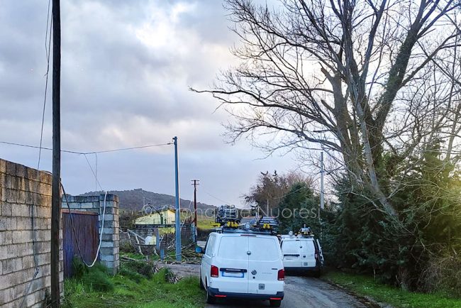 Cavo strappato da un albero crollato a Corte